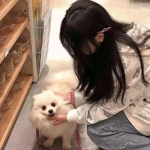 残虹剑手机版下载